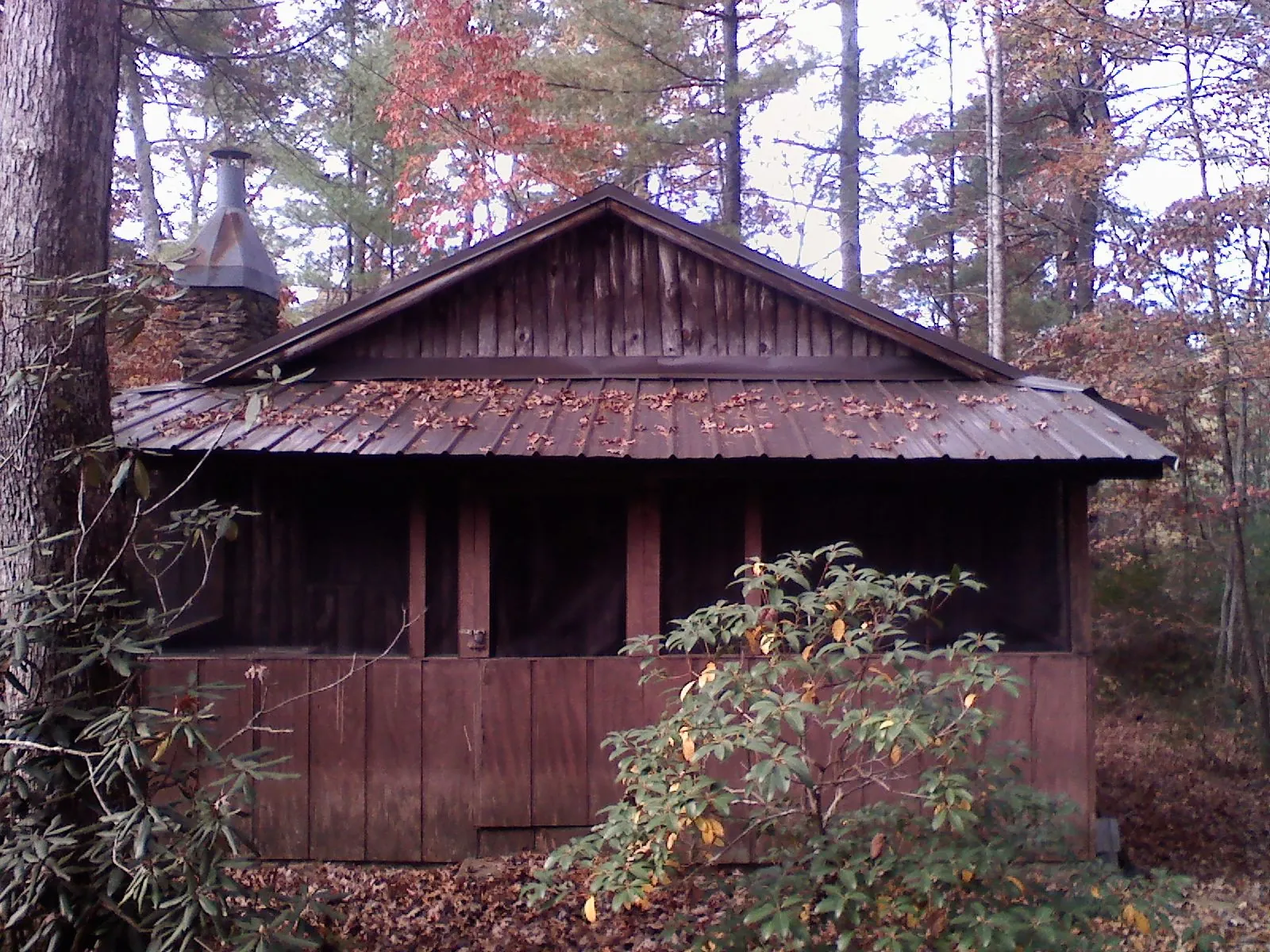 Metal roof over the screened porch of a rustic cabin in Pinesdale