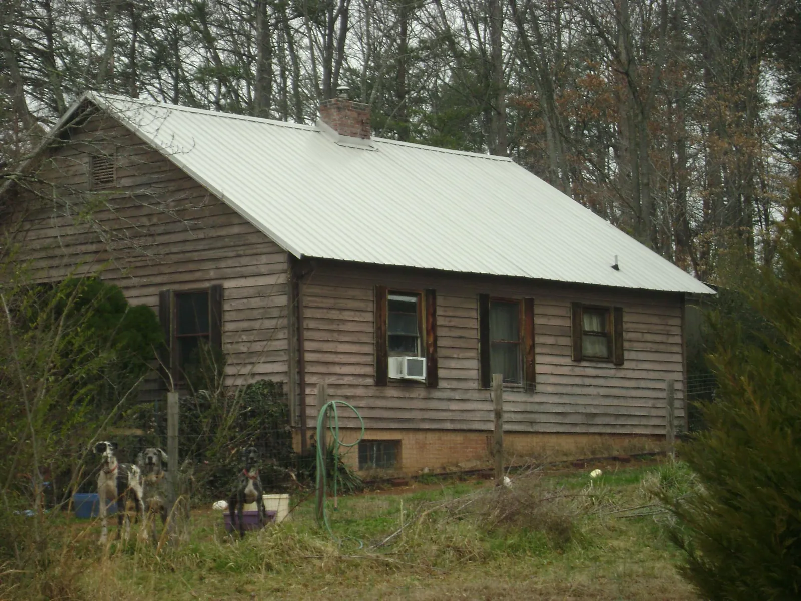 White metal roof on an old wood sided farmhouse, from a Asphalt Shingle Roof Repair job in Pinesdale